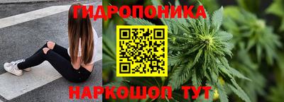 спиды Гусев