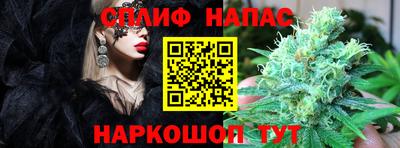 спиды Гусев