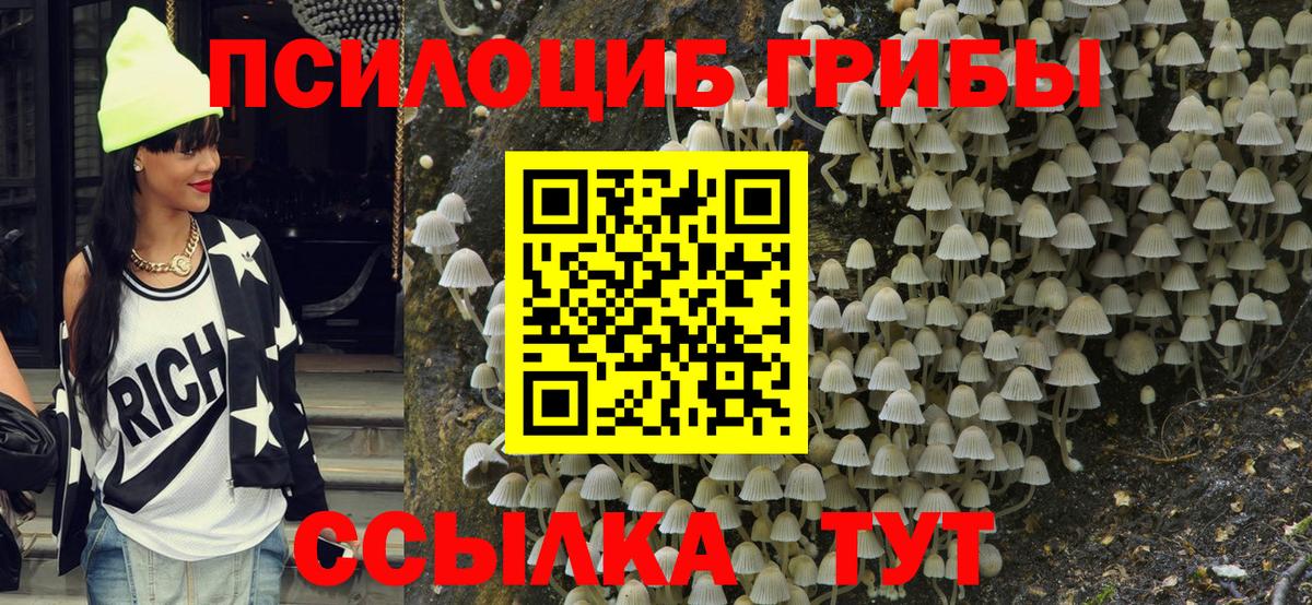 Псилоцибиновые грибы Cubensis Минусинск